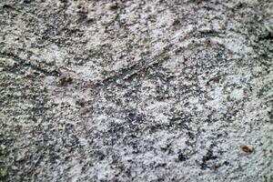 Textured Surface with Dirt and Debris photo