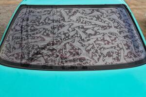 Film film peeling out Causing bubbles Because the car was parked in the sun for many months photo