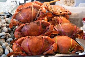 Fresh crab tied with rope ready to be grilled. photo