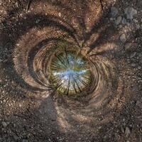 A circular view of a forest with trees photo