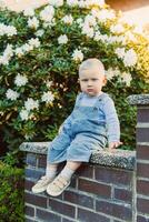 An adorably cute toddler is sitting cheerfully on a stone wall, surrounded by a spectacular array of blooming flowers within a beautifully bright and inviting garden setting filled with sunshine photo
