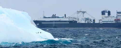 Large ship and ice floe in the open sea. photo