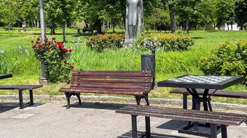 Sunlit park bench whispers spring tales of solitude as chessboard dreams unfold contemplation nook for Hanami meditation photo