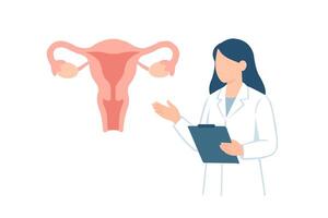 Female Gynecologist Explaining Uterus Anatomy and Reproductive Health Using Diagram vector