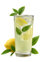 Refreshing lemonade drink with lemon slices and ice in a glass surrounded by green leaves png