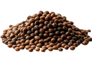 A pile of dark brown seeds or beans close up view png