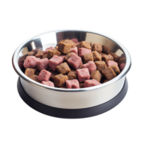 Pet bowl filled with food cubes on transparent background png