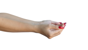 female open hand holding something isolated on transparent background, Format png
