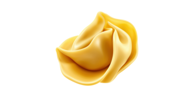 Folded piece of fresh pasta isolated on transparent background png