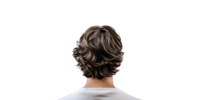 Back view of brown hair with wavy style isolated on transparent background png