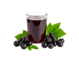 Glass of Blackcurrant Juice with Fresh Berries and Green Leaves. png