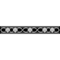 Nautical Border Seashell and Rope Decorative Element vector