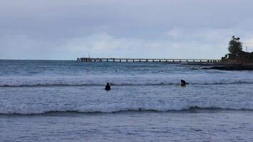 Surfers riding waves near a pier video