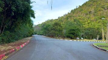 A peaceful road surrounded by lush greenery video
