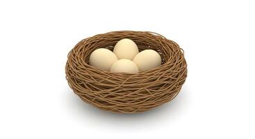 3D illustration of a birds nest with eggs isolated on white photo