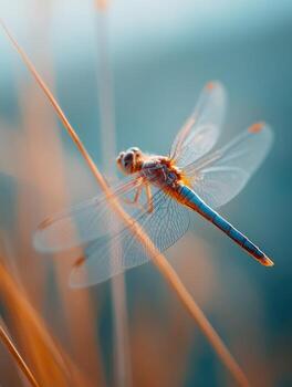 The Gentle Touch Of Winter Frost Designs On A Leaf photo