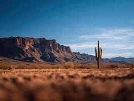 The Iconic Image Of A Solitary Saguaro In The Desert photo