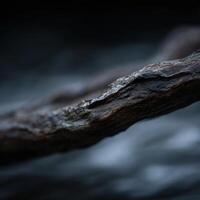 The Sculpted Beauty Of A Branch Worn Smooth By Water photo