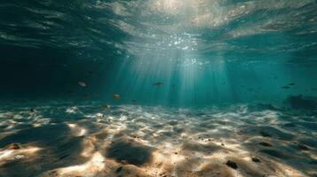 The Otherworldly Sight Of Sunlight Beams Underwater photo