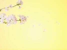Flowers with yellow background design photo