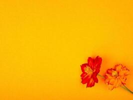 Flowers background design photo
