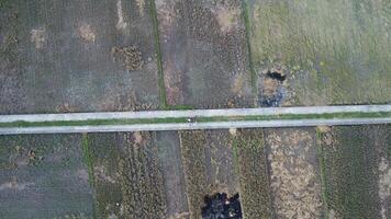 An aerial view of a road in the middle of a field photo