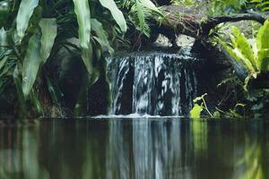 Waterfall into peaceful pool by lush greenery photo