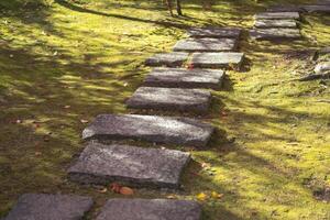 Stepping stones on a lush, grassy path in a serene setting. Kyoto, Japan photo