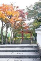 Byodo-in Temple Uji Kyoto Japan, Pathway with autumn trees and a traditional gate in the background. photo