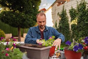 Man cultivates colorful flowers in a sunny garden photo