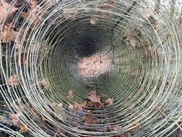 Circular Wire Structure with Leaves photo