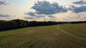 Aerial view of a winding dirt road through a green landscape with fields photo