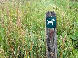 Sign dog on a leash in the middle of a gfeen field photo