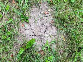 Land with dry and cracked ground and green grass photo