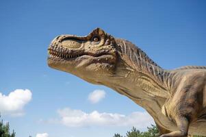 Artificial dinosaur tyrannosaurus, close-up of dinosaur head against sky. Dinosaur head close-up. With copy space. photo