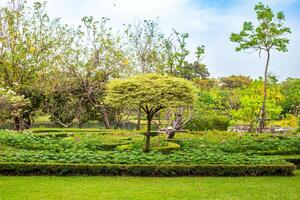 A neatly maintained garden with neatly trimmed hedges and a tree creates a peaceful landscape in the park photo