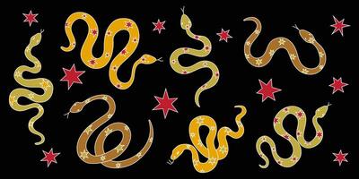 Stylized Snakes with Stars Displayed on a Deep Black Background for a Striking Visual vector