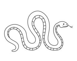 snake on a white background, hand drawn. Symbol of Chinese New Year 2025, illustration isolated on white background. vector