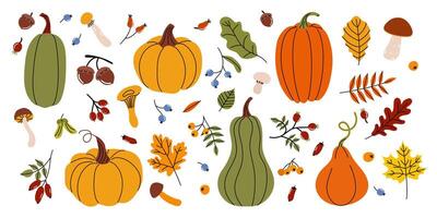 Collection of colorful pumpkins and autumn leaves arranged creatively for seasonal decor and celebration preparation vector