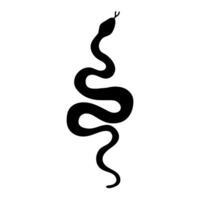 Ink drawing silhouette of a snake. Symbol of the year according to the Chinese calendar. Symbol of 2025, illustration isolated on white background. vector