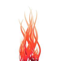 Fire flames on white background. vector