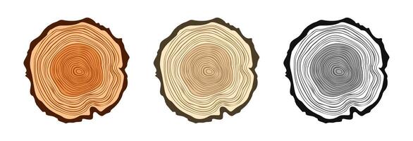 Round tree trunk cuts in various colors, sawn pine or oak slices, lumber. Saw cut timber, wood. Brown wooden texture with tree rings. Hand drawn sketch. illustration vector