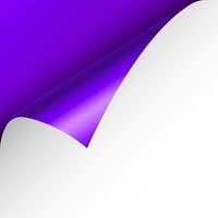 Violet paper curl. Curled page corner with shadow. Blank sheet of paper. Colorful shiny foil. Design element for advertising and promotion. illustration. vector