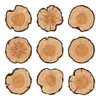 Round tree trunk cuts with cracks, sawn pine or oak slices, lumber. Saw cut timber, wood. Brown wooden texture with tree rings. Hand drawn sketch. illustration vector
