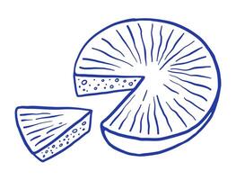 Hand draw whole cheese and slice illustration. Natural dairy product. Doodle sketch style vector
