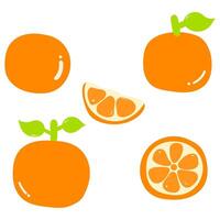 Set of orange with stem, leaf, and cut pieces vector