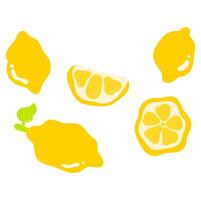lemon collection with stem, leaf, and cut pieces vector