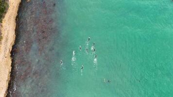 Drone captures swimmers in turquoise waters near rocky coastline, showcasing teamwork and athleticism in a natural setting video