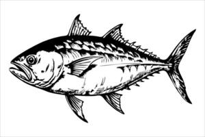 A detailed illustration of a tuna fish, showcasing its streamlined body, sharp fins, and distinctive markings. The fish is depicted in a side view, emphasizing its features. vector