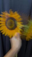 A vertical artistic photograph of a blurred sunflower held in a hand against a black background. The motion blur effect adds a dreamy and surreal feel photo